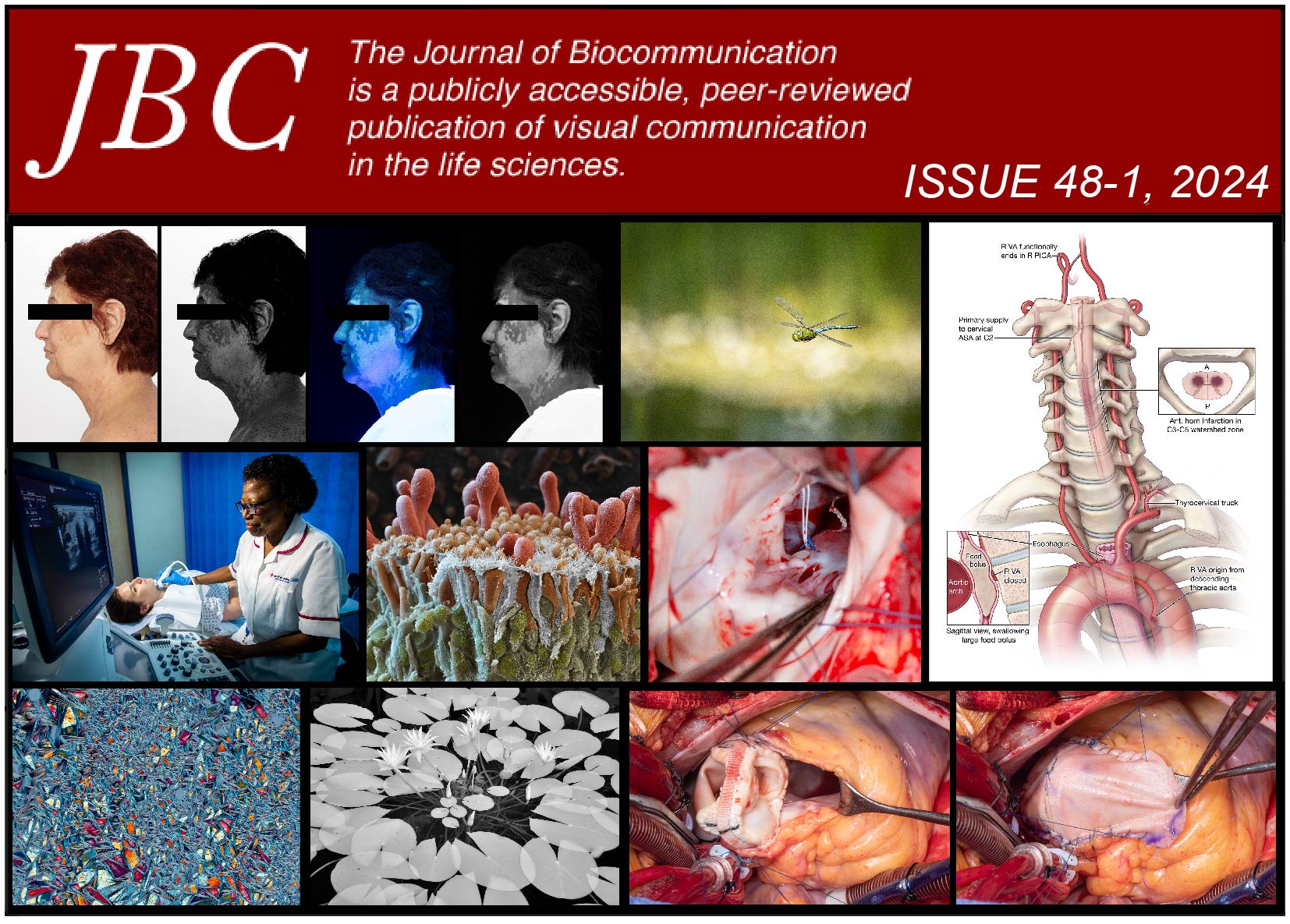 Cover graphic for the issue