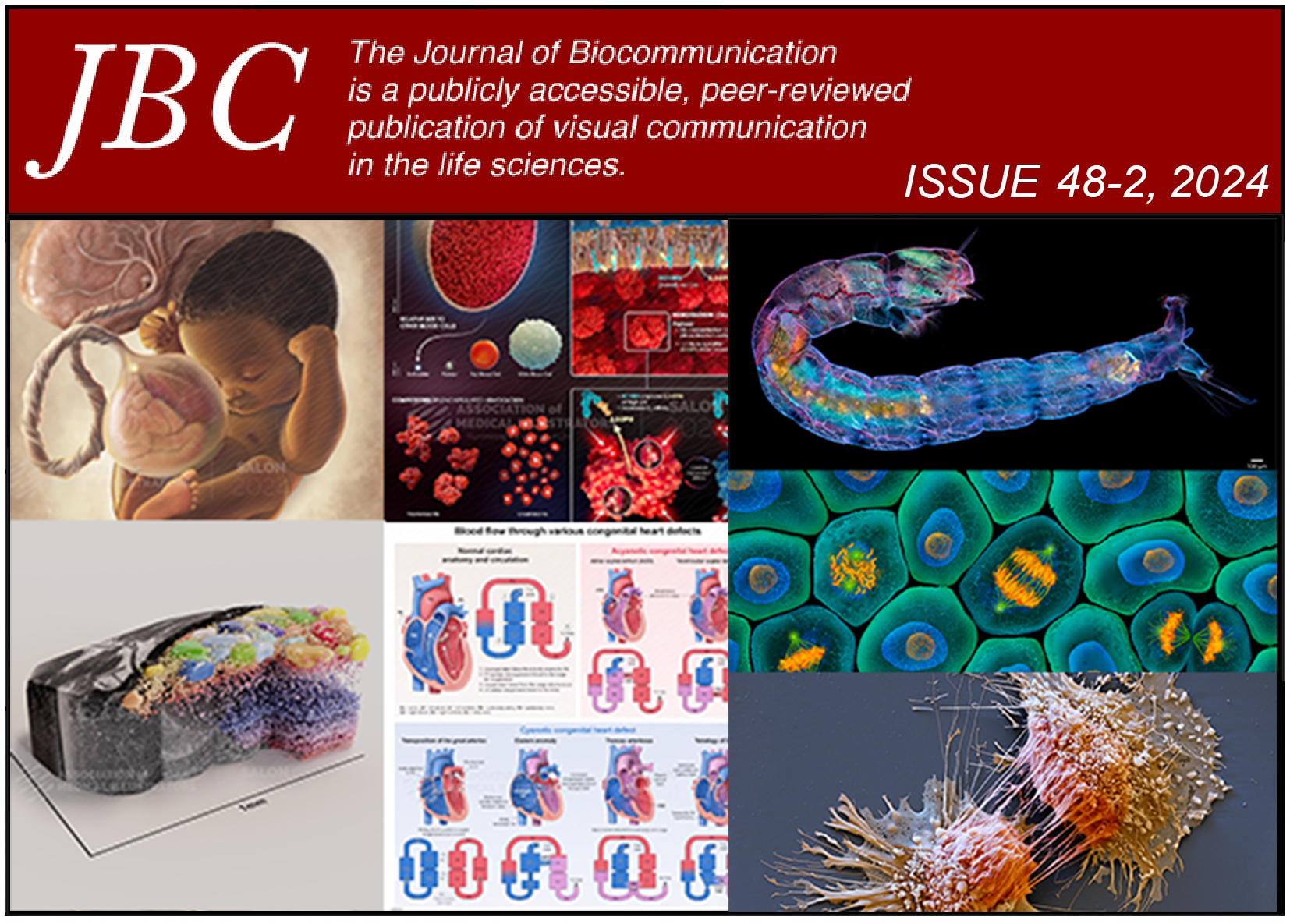 Cover graphic for the issue