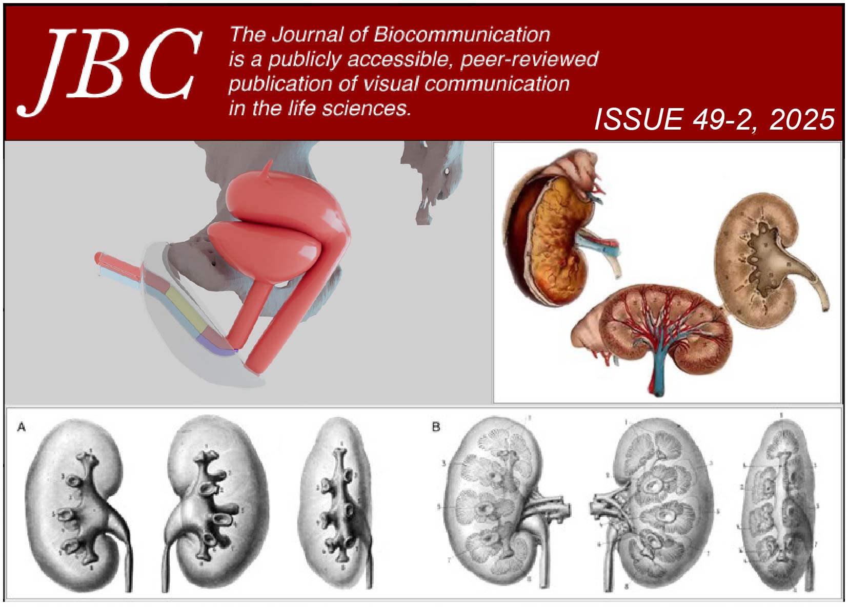 Cover graphic for the issue