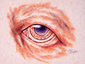 image of Canine Eye illustration